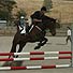 Equestrian Centre - Palmerston North, New Zealand