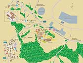 Albany-Vector-map.jpg
