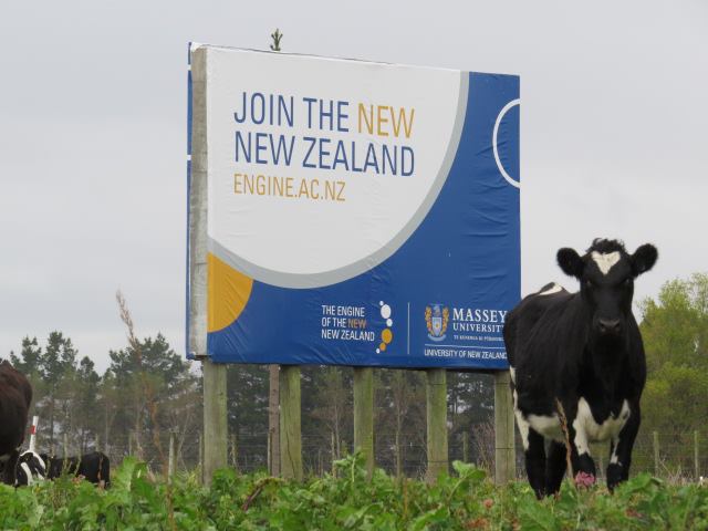 Engine Cow.jpg