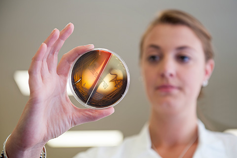 Woman holding up petri dish