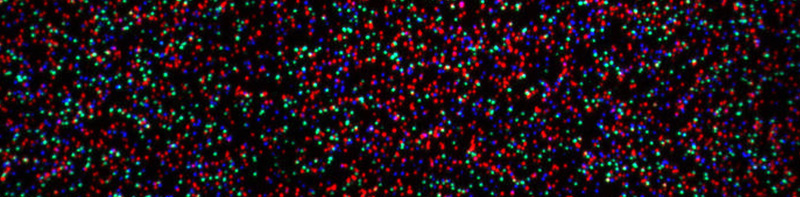 Illumina_tile_false_colour.jpg