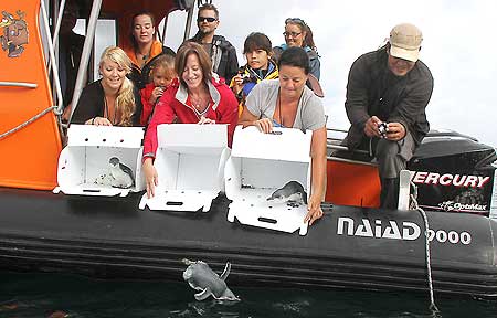 penguin-release-last.jpg