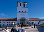 Massey University Albany campus