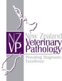 NZVPnewlogo.jpg