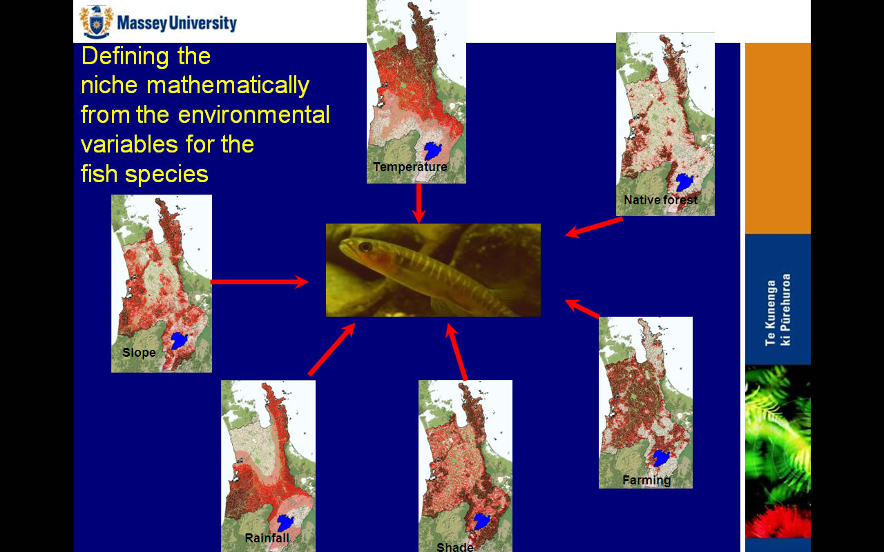 Case study Freshwater Ecosystem Health Assessment Massey University