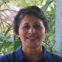 Associate Professor Sita Venkateswar staff profile picture