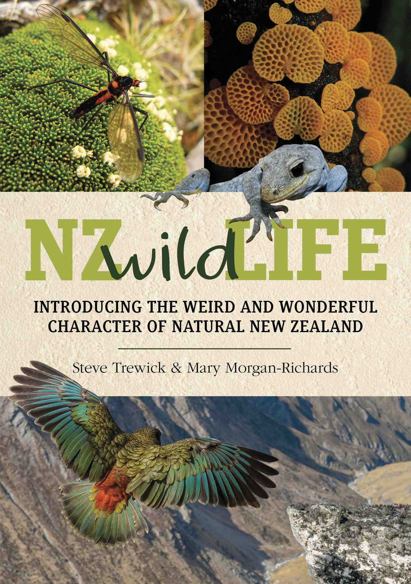 NZ wild life book
