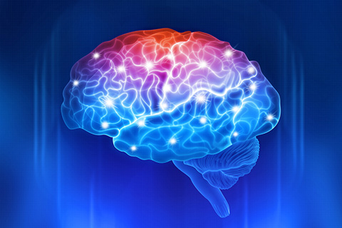 Illustration of brain activity