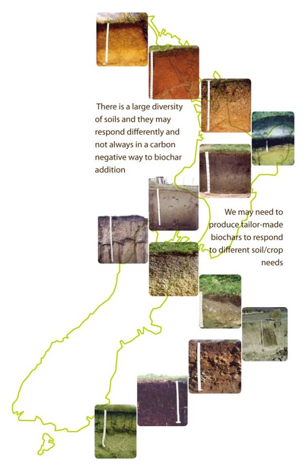 Soil types in New Zealand