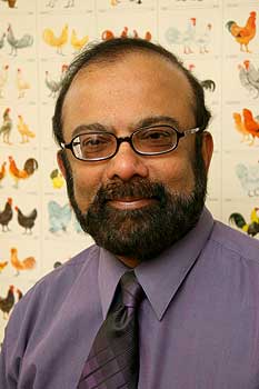 Researcher Wins Major International Poultry Award Massey University