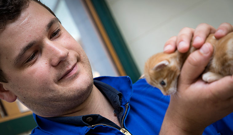 Bachelor Of Animal Science Massey University