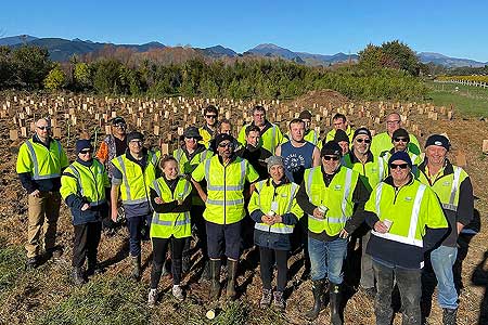 Tree planting at Fonterra's Brightwater site in 2020