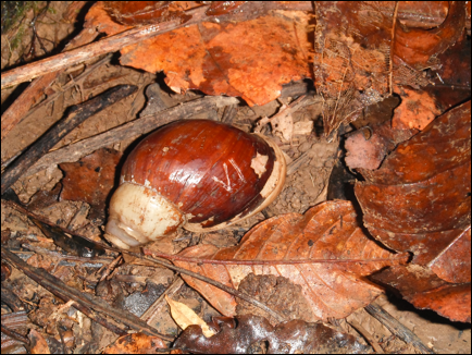 Description: DSCF0440.JPG