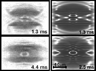 Complex hybrid structures